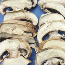 Dried Mushroom Champignon Dehydrated Agaricus Bisporus